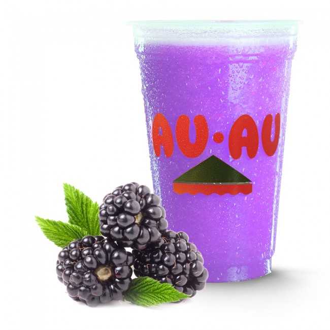 Suco de Amora 500ml