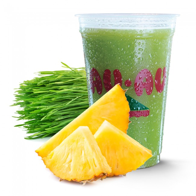 Suco Ibiza 500ml