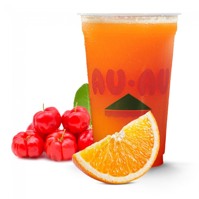 Suco Caribe 500ml