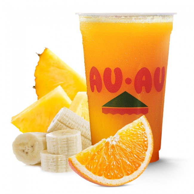 Suco Gávea 500ml