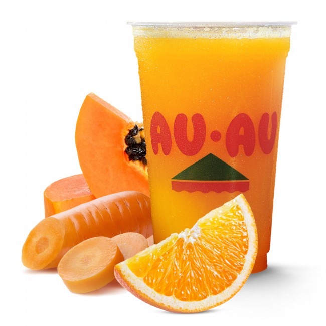 Suco Buzios 500ml